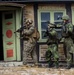 U.S., Swedish Raid Training