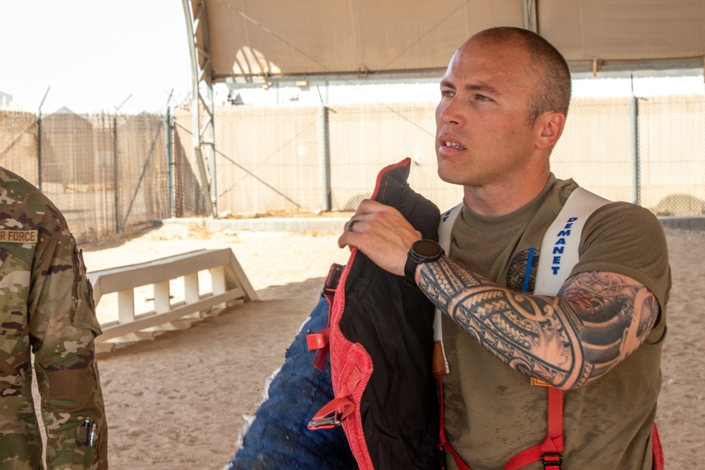 Military Working Dogs Train to Protect the Force