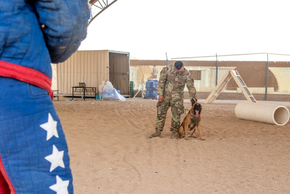 Military Working Dogs Train to Protect the Force