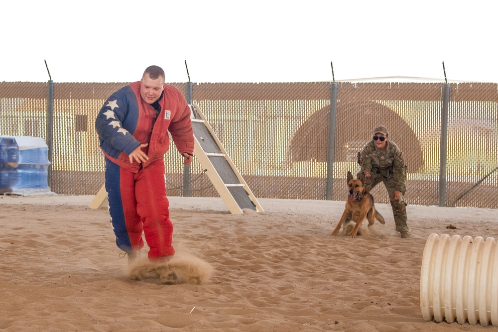Military Working Dogs Train to Protect the Force