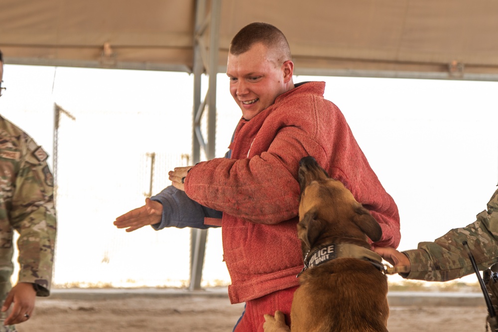 Military Working Dogs Train to Protect the Force