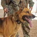 Military Working Dogs Train to Protect the Force