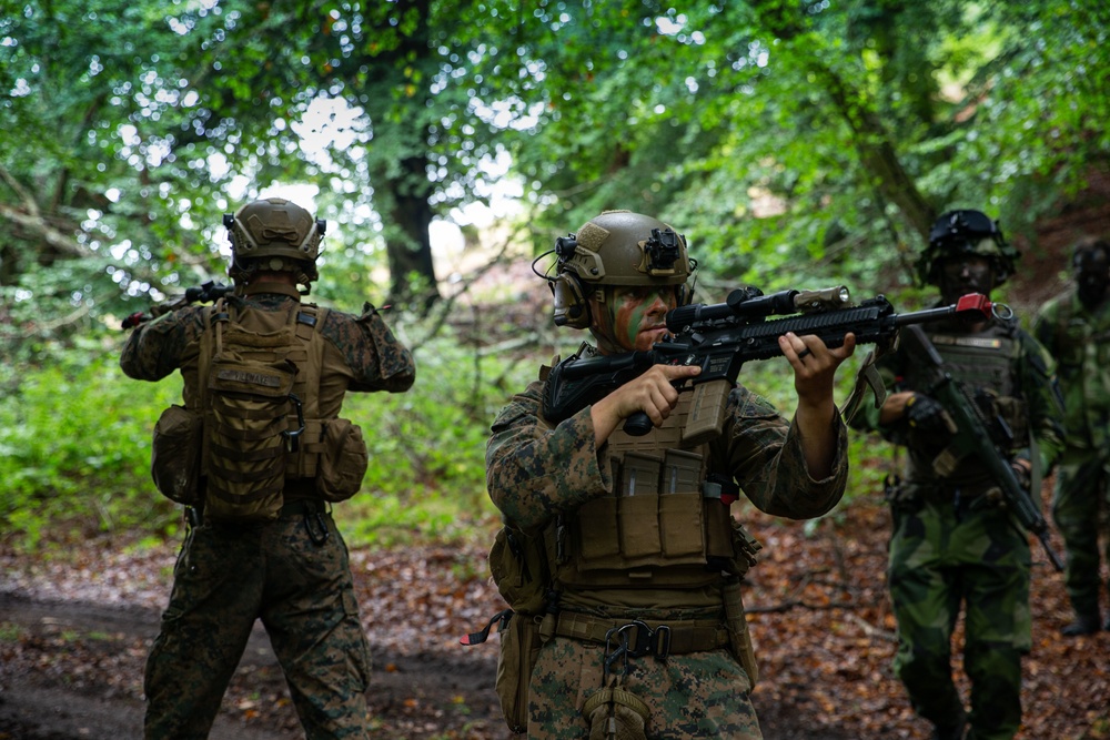 RAID Training exercise in Sweden