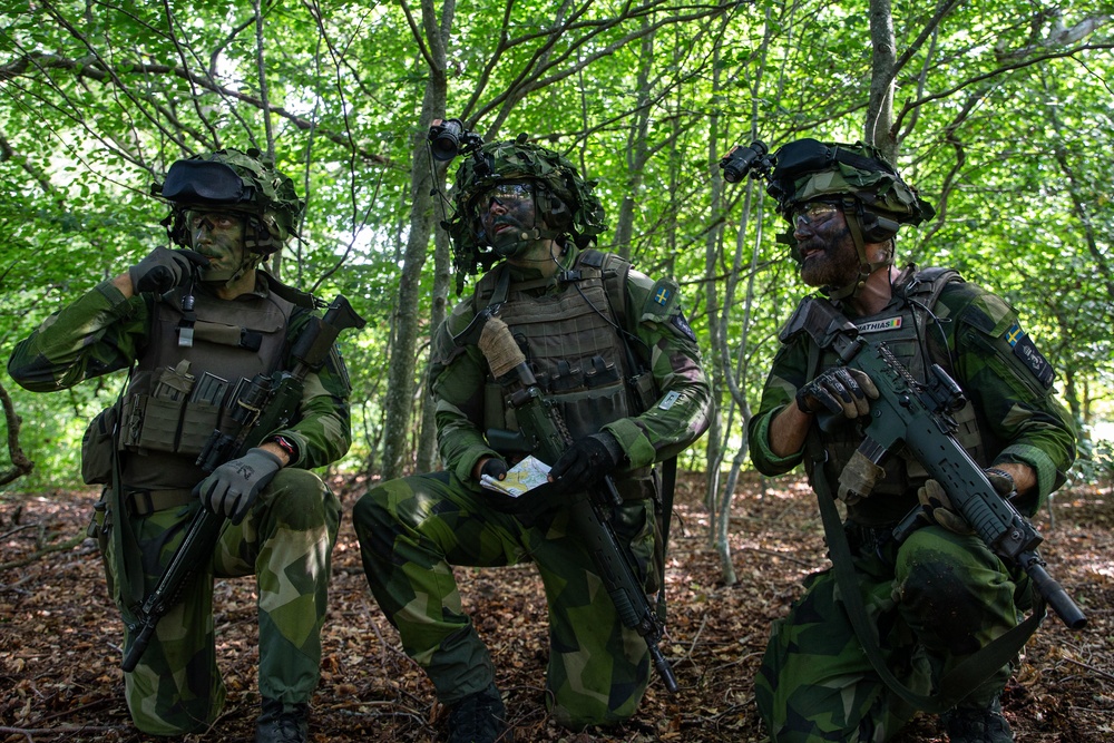 RAID Training exercise in Sweden