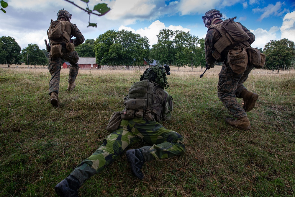 RAID Training exercise in Sweden
