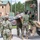 Military personnel are conducting a medical evacuation exercise, loading a simulated casualty on a stretcher into the rear of a tan military vehicle, likely a HMMWV or similar tactical vehicle. Multiple service members in different camouflage patterns — consistent with U.S. Navy NWU Type III and U.S. Marine Corps MARPAT — are participating, suggesting a joint-service training scenario. The setting appears to be a military training installation with buildings and vehicles visible in the background.