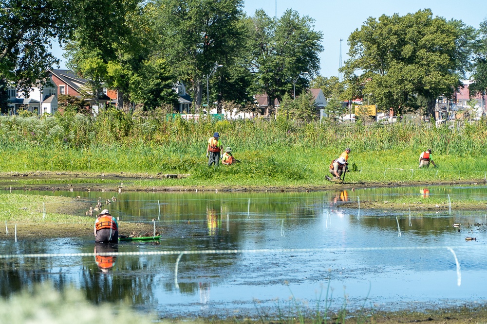 Port Clinton Coastal Wetland Restoration