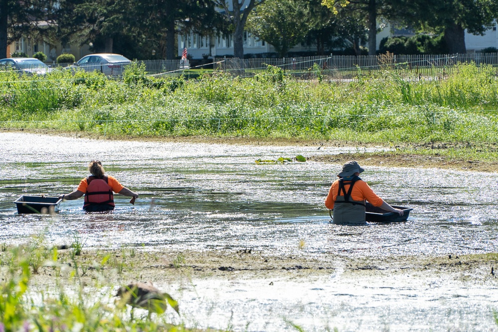 Port Clinton Coastal Wetland Restoration