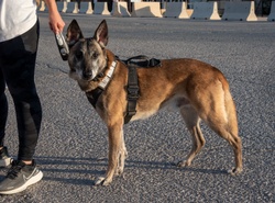 Women’s Equality Day at 332d AEW
