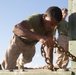 2nd Transportation Battalion and 1st Landing Support Battalion conduct railhead operations