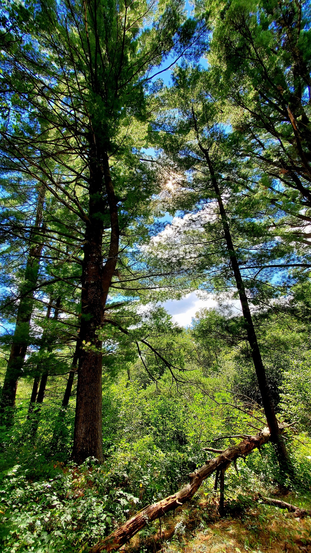 Fort McCoy's Pine View Recreation Area