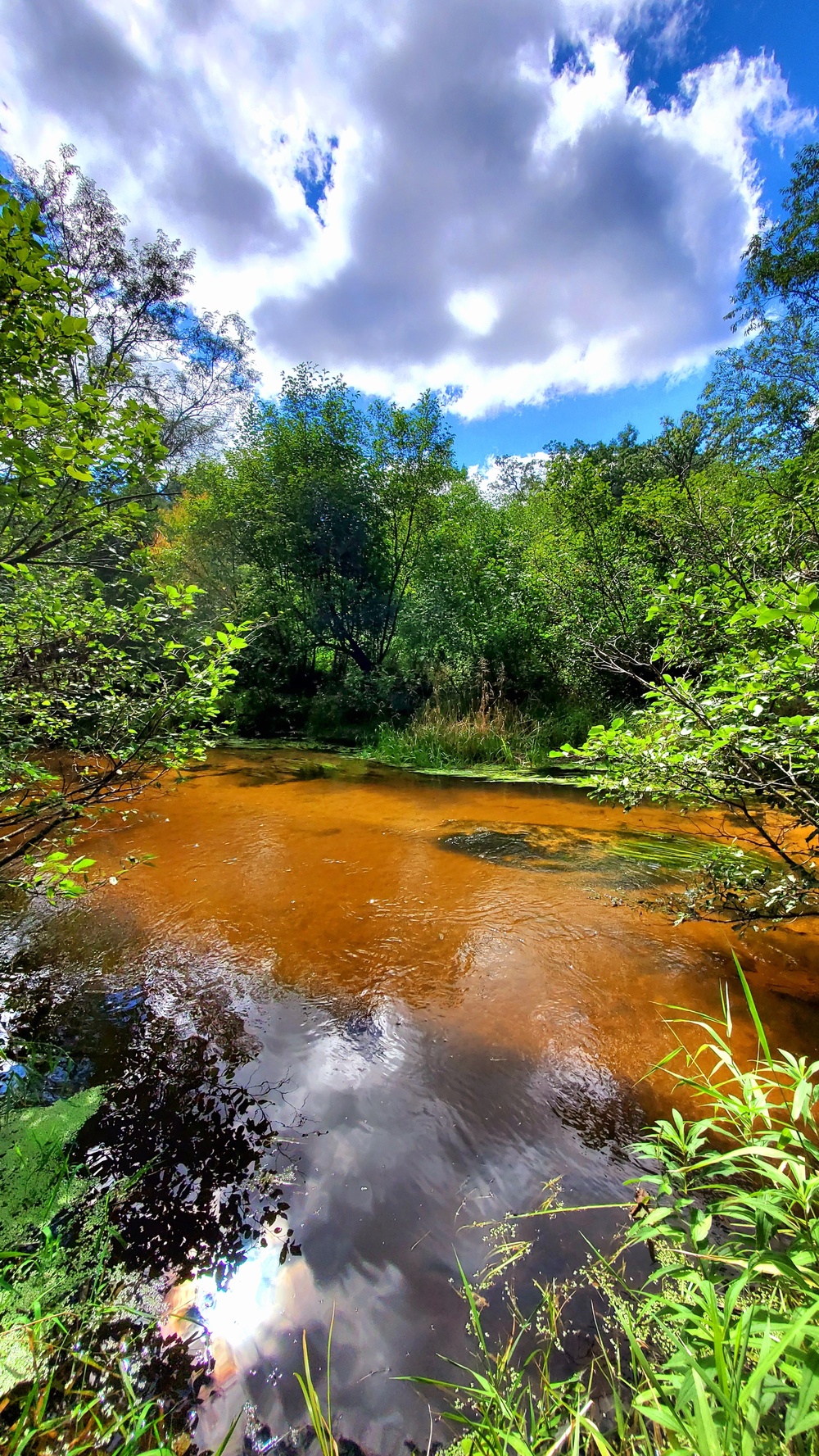 Fort McCoy's Pine View Recreation Area