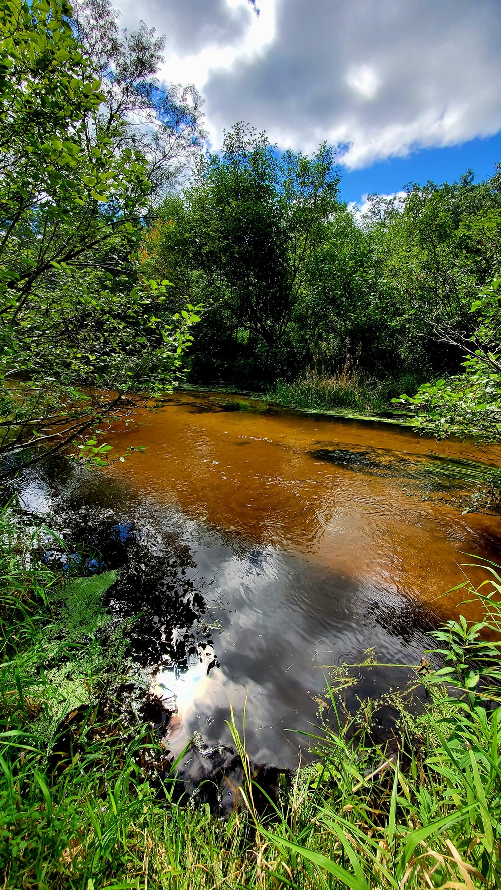 Fort McCoy's Pine View Recreation Area