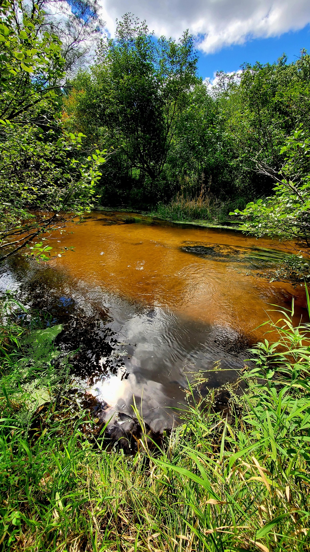 Fort McCoy's Pine View Recreation Area