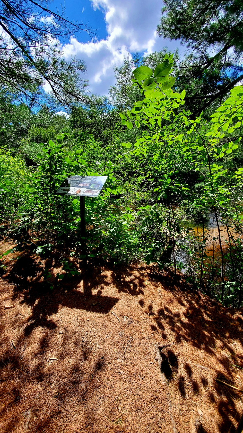 Fort McCoy's Pine View Recreation Area