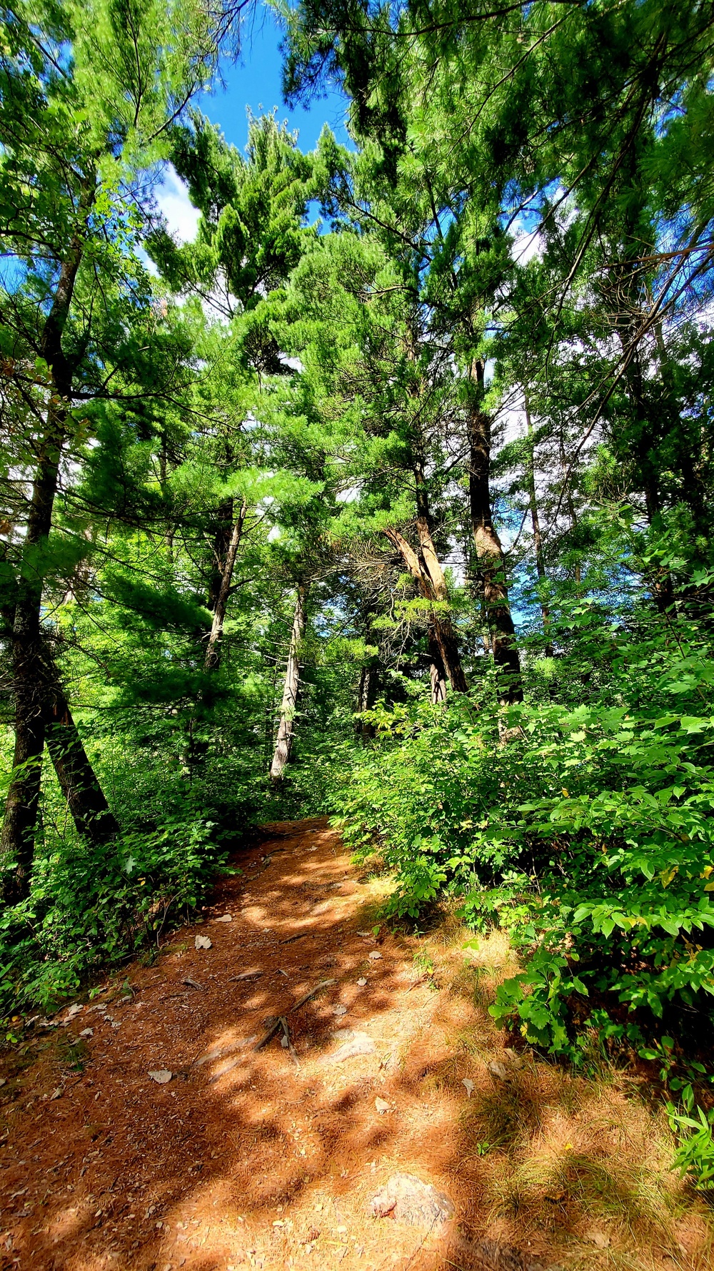 Fort McCoy's Pine View Recreation Area