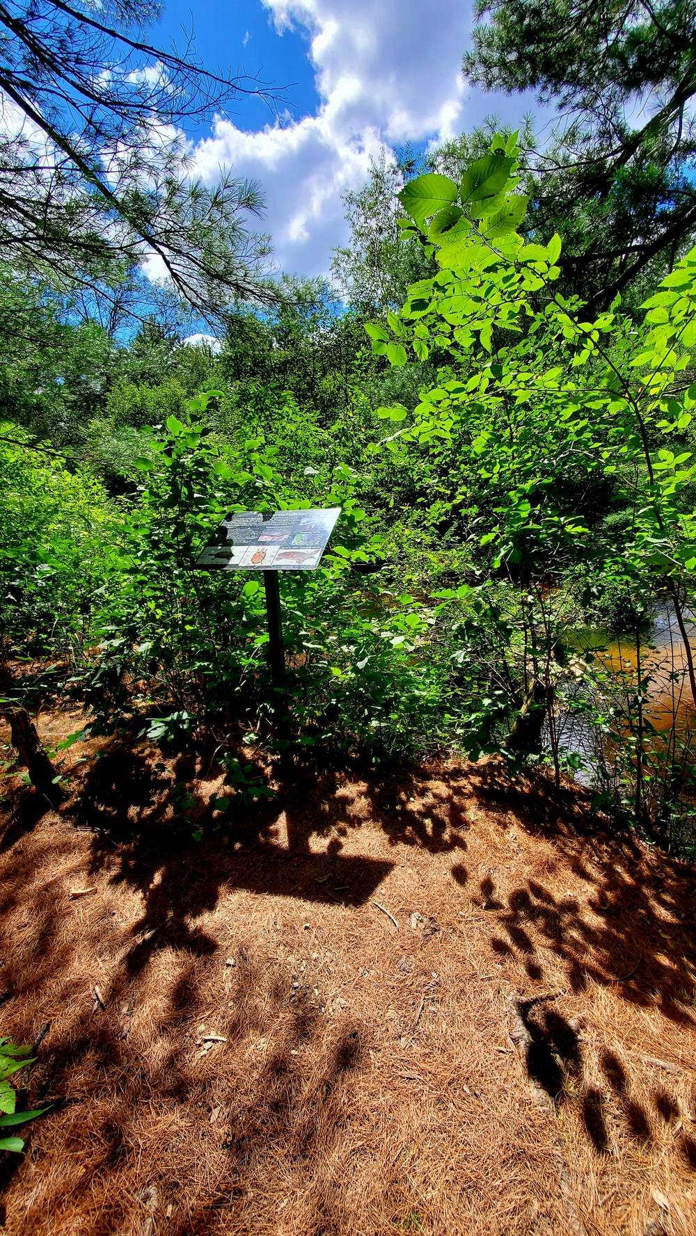 Fort McCoy's Pine View Recreation Area