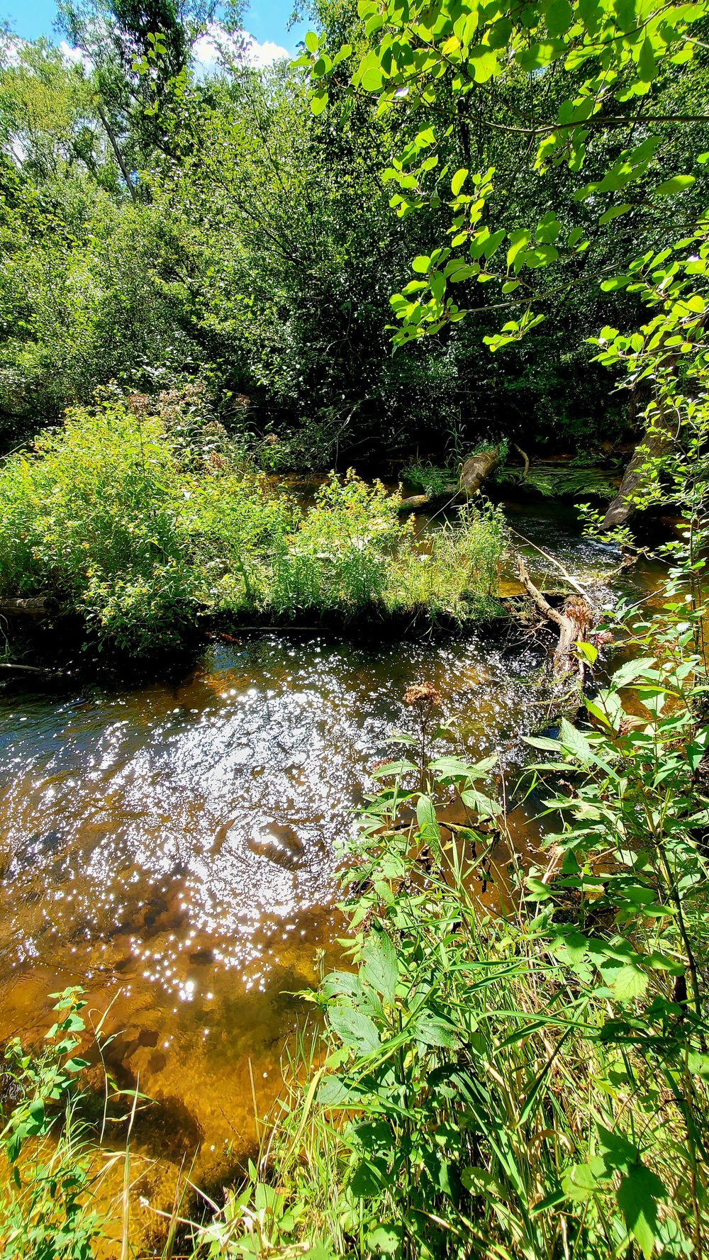 Fort McCoy's Pine View Recreation Area