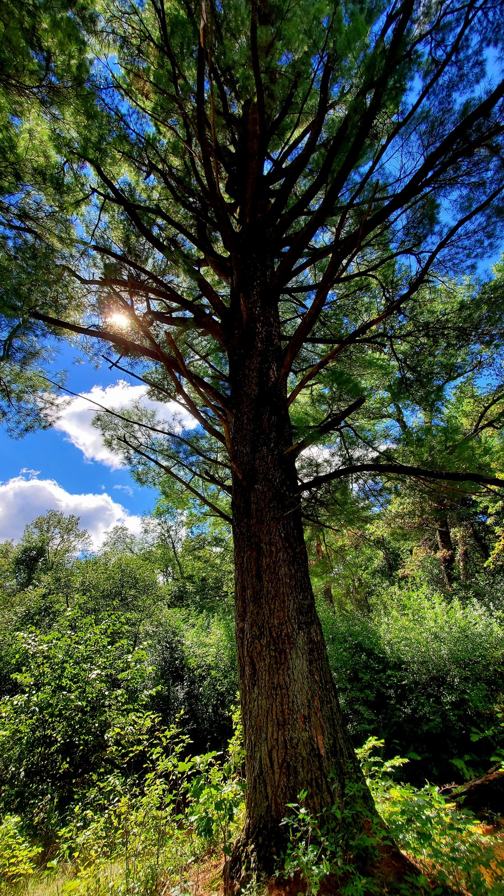 Fort McCoy's Pine View Recreation Area