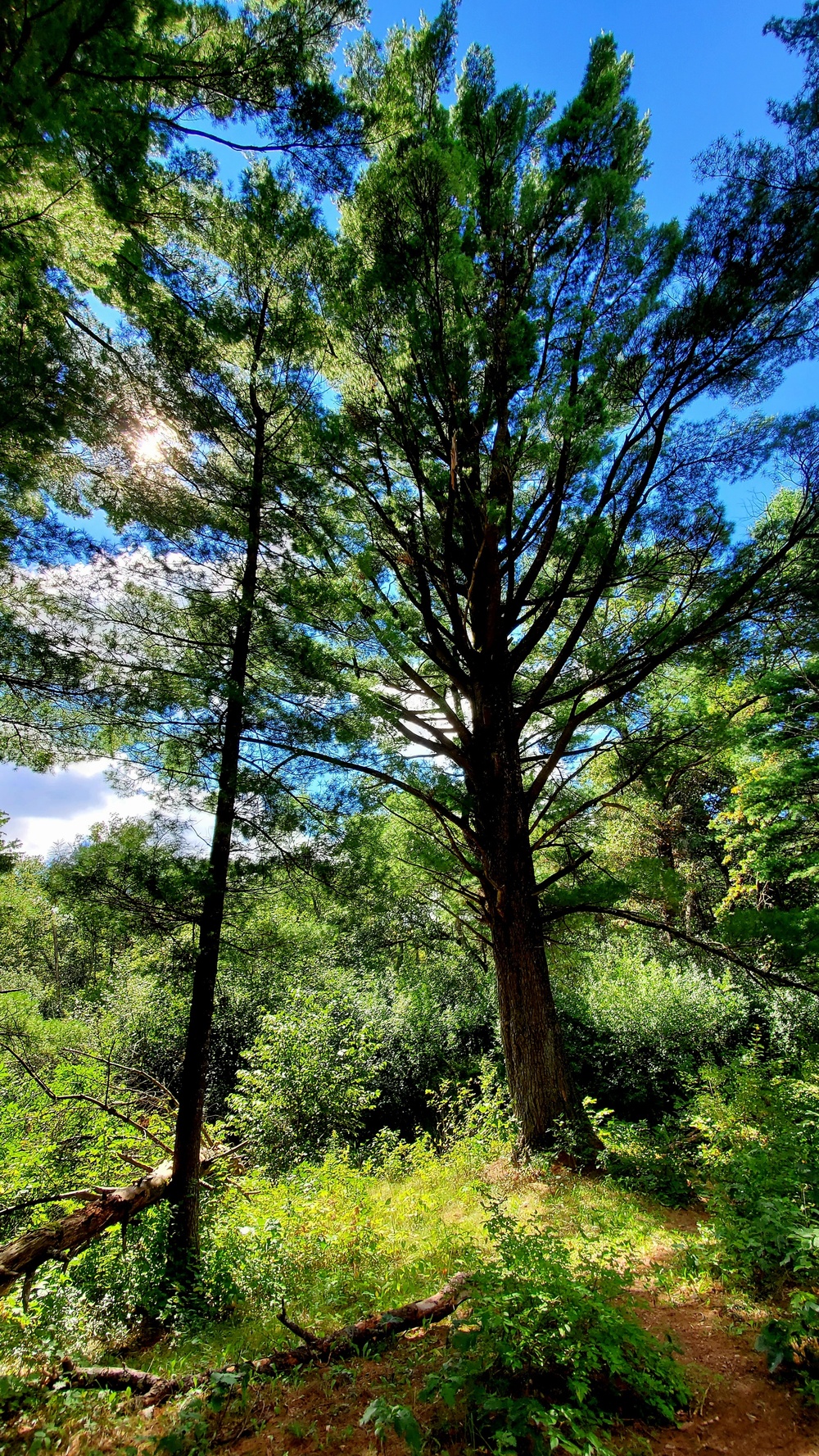 Fort McCoy's Pine View Recreation Area