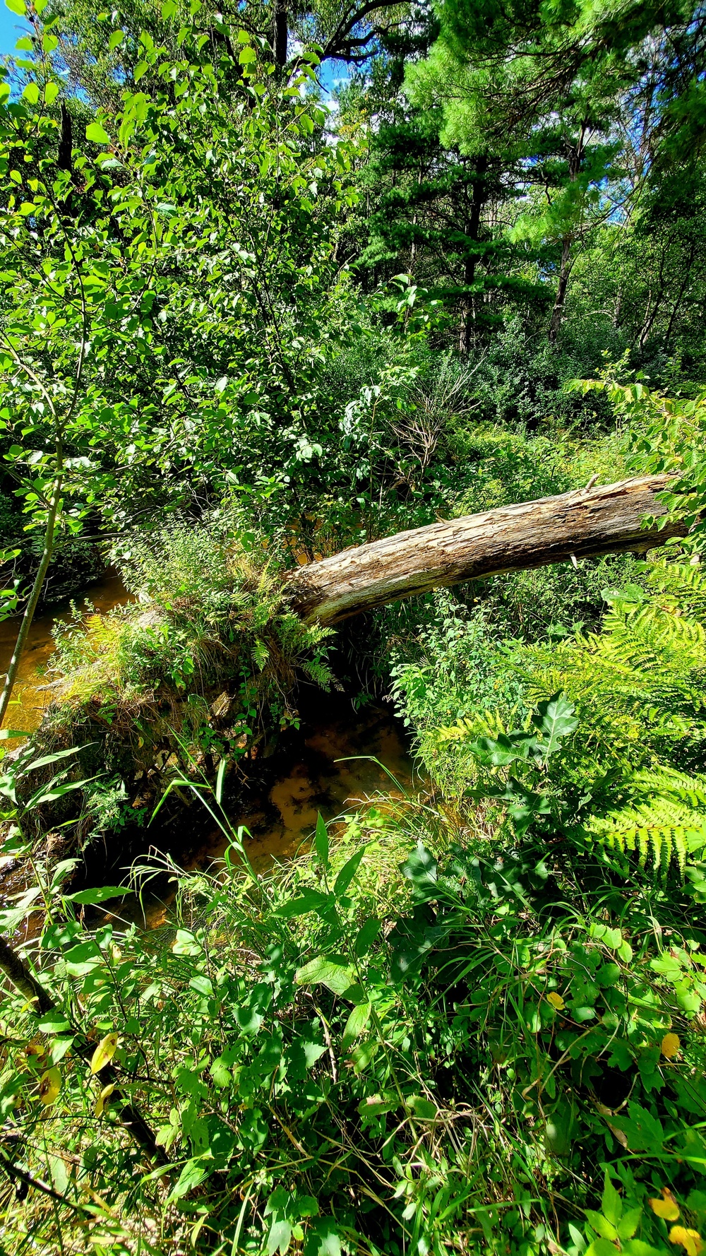 Fort McCoy's Pine View Recreation Area