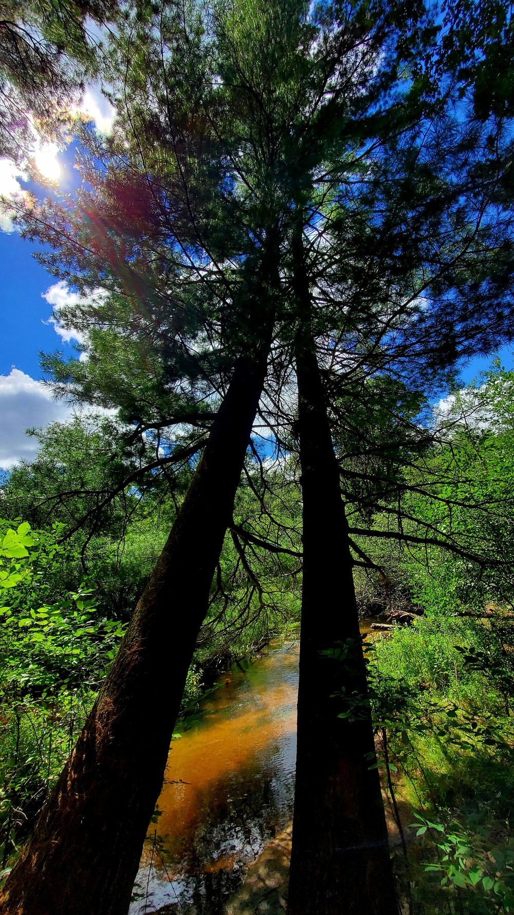 Fort McCoy's Pine View Recreation Area