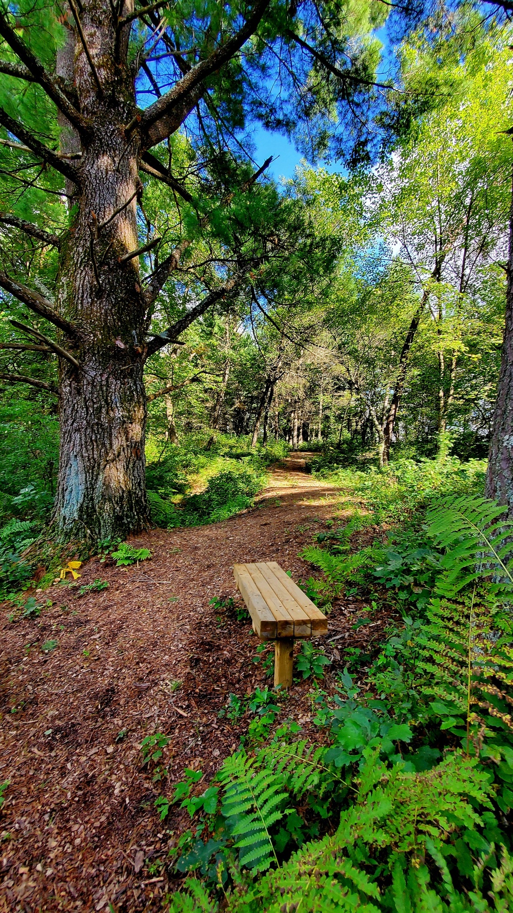 Fort McCoy's Pine View Recreation Area