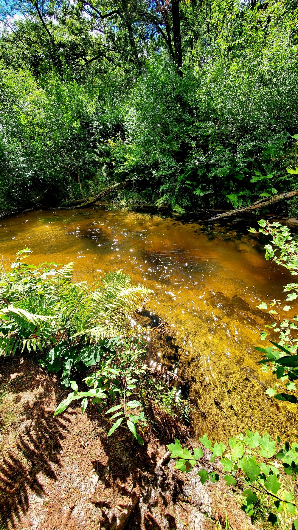 Fort McCoy's Pine View Recreation Area