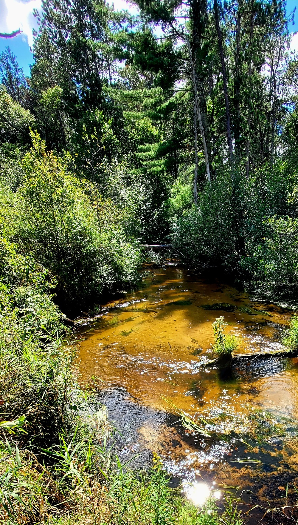 Fort McCoy's Pine View Recreation Area