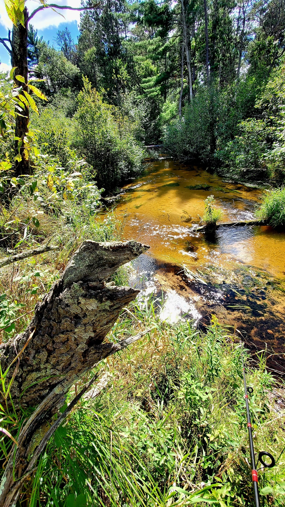 Fort McCoy's Pine View Recreation Area