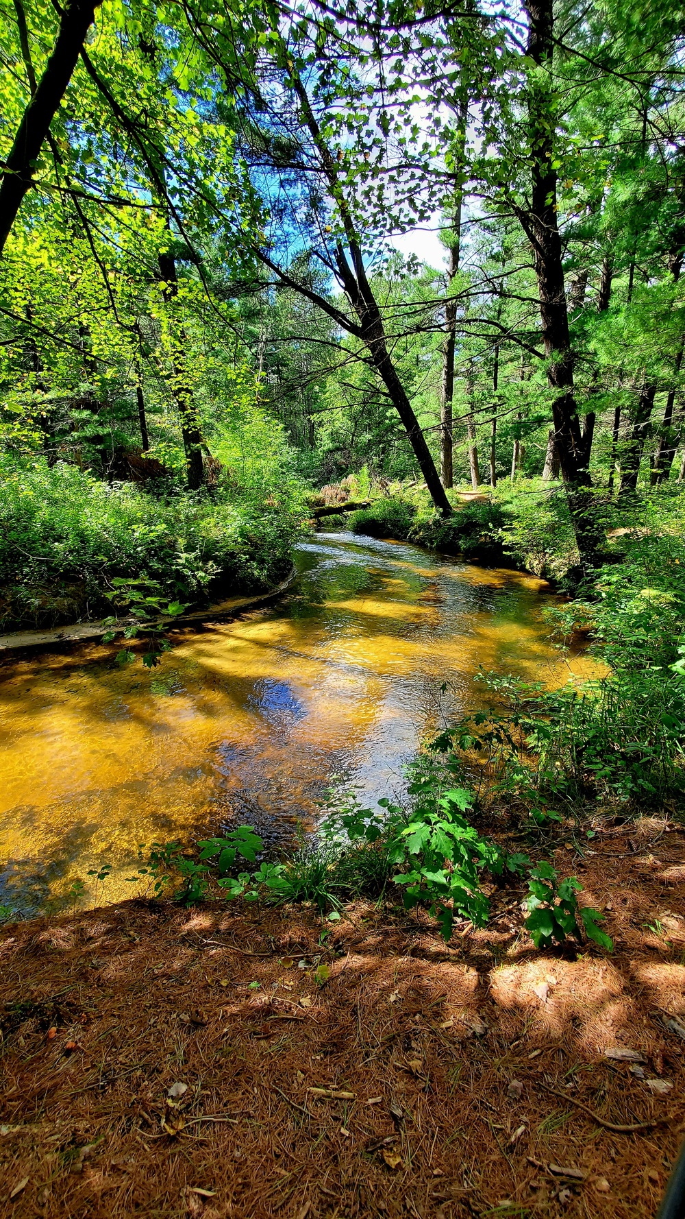 Fort McCoy's Pine View Recreation Area