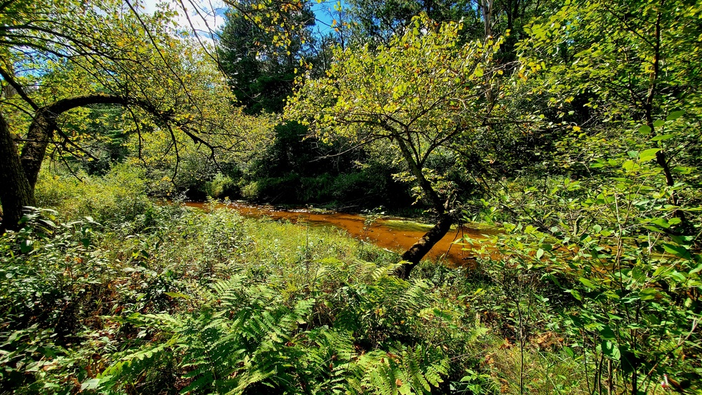 Fort McCoy's Pine View Recreation Area