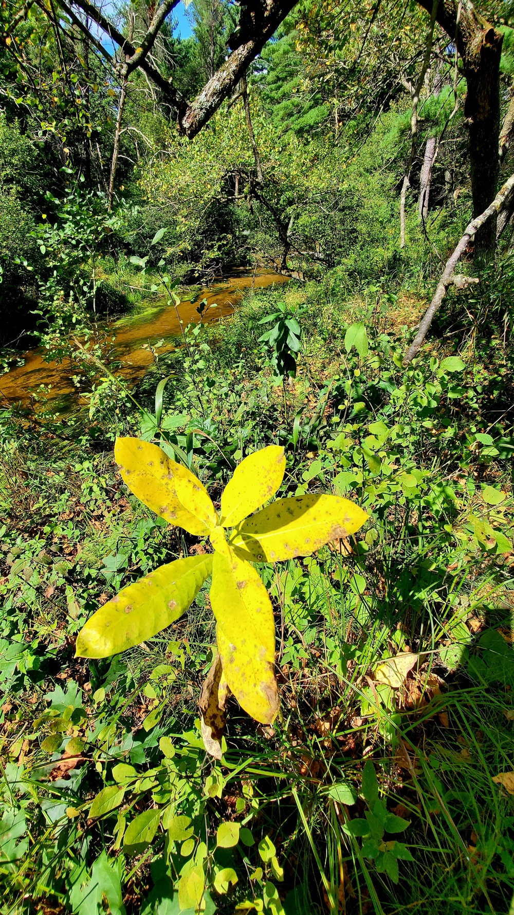 Fort McCoy's Pine View Recreation Area