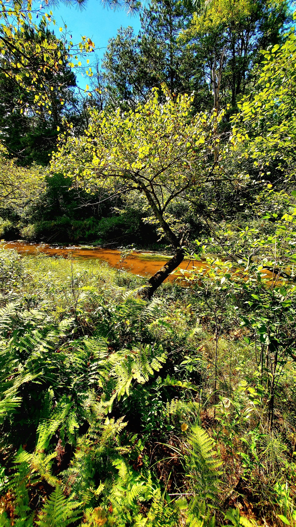 Fort McCoy's Pine View Recreation Area