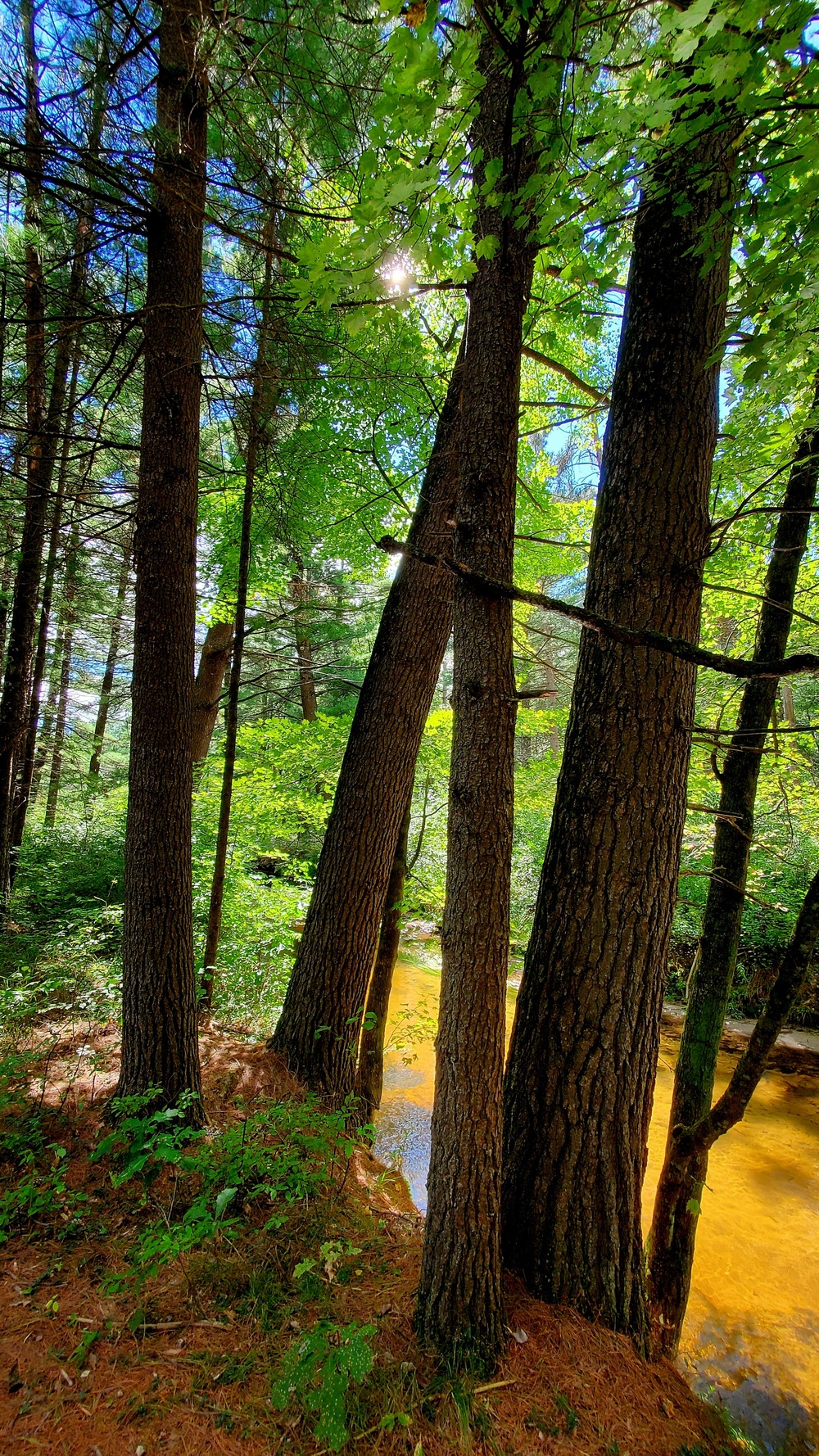 Fort McCoy's Pine View Recreation Area