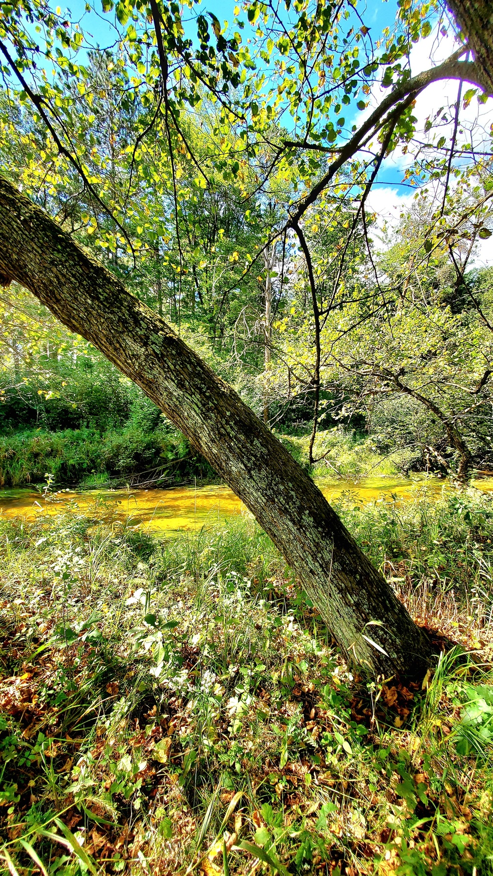 Fort McCoy's Pine View Recreation Area