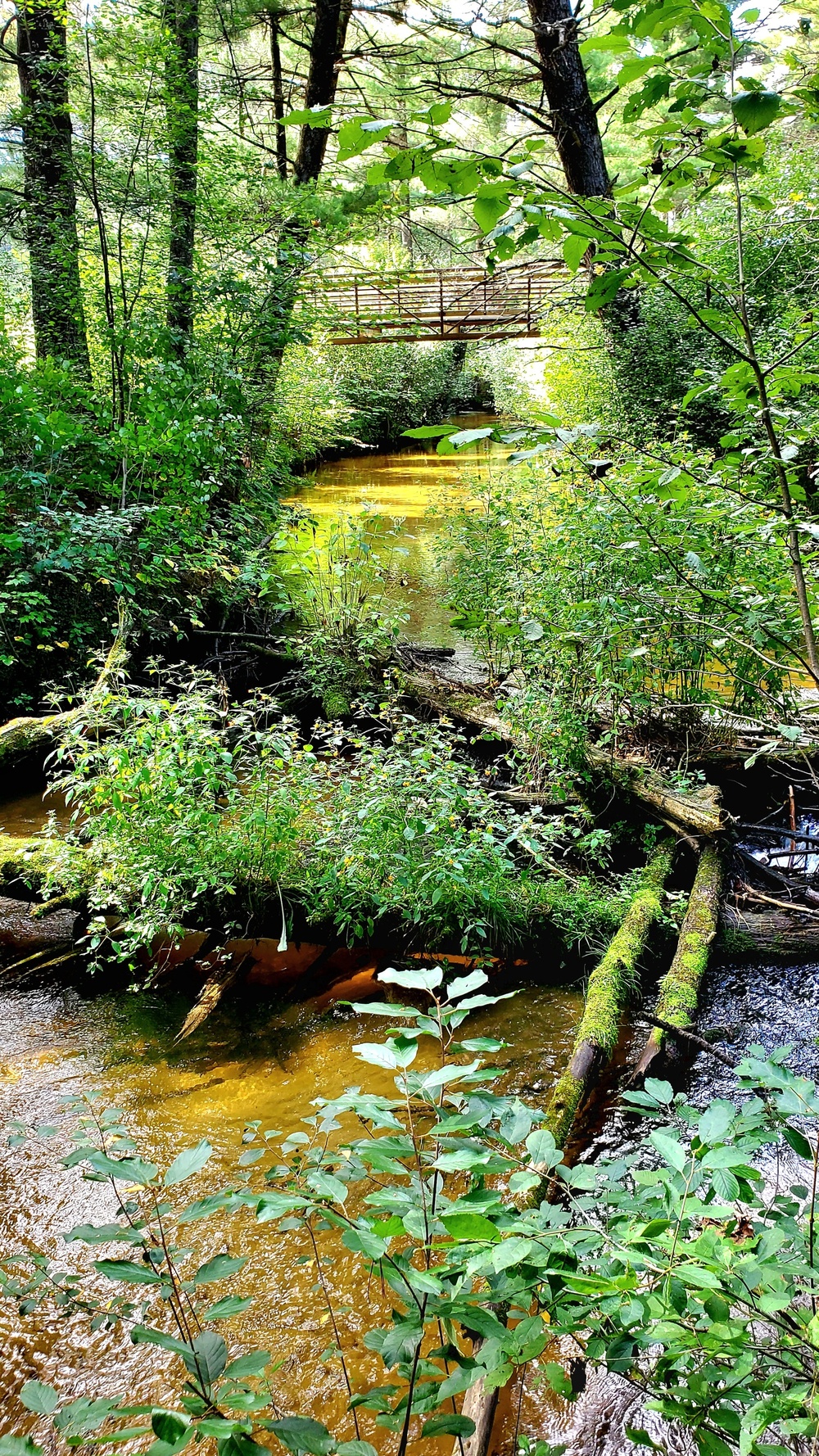 Fort McCoy's Pine View Recreation Area