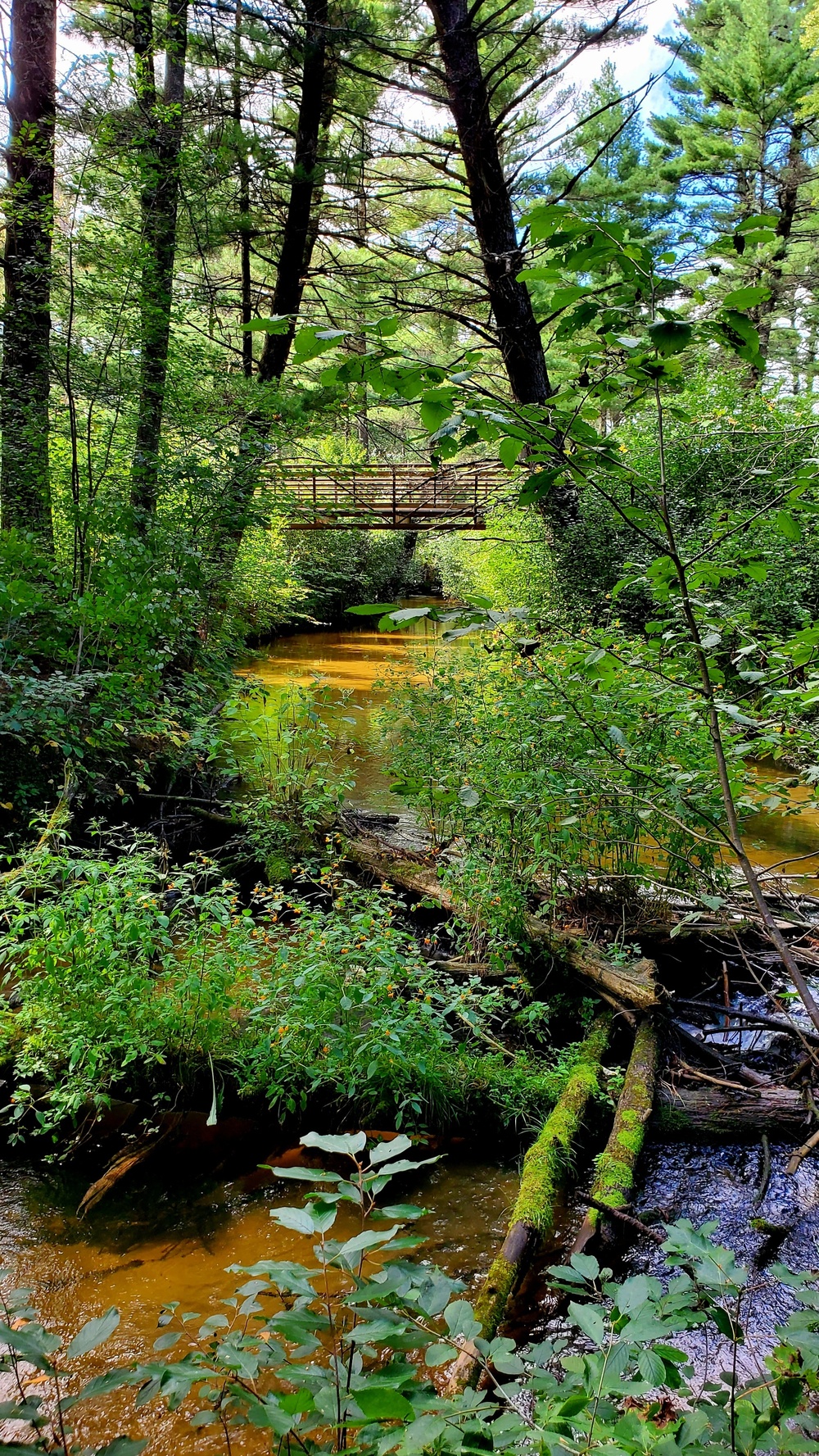 Fort McCoy's Pine View Recreation Area