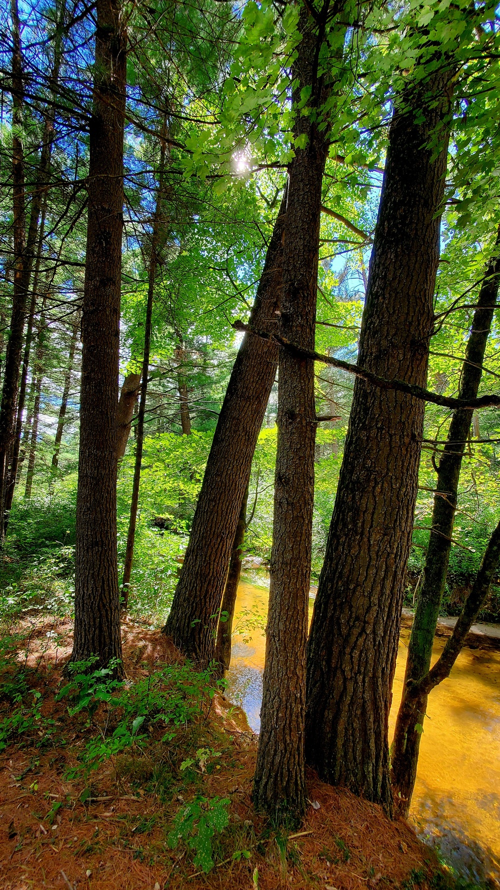 Fort McCoy's Pine View Recreation Area