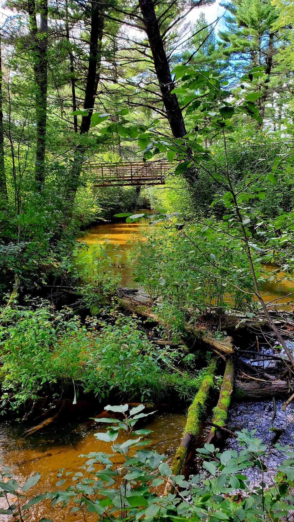 Fort McCoy's Pine View Recreation Area