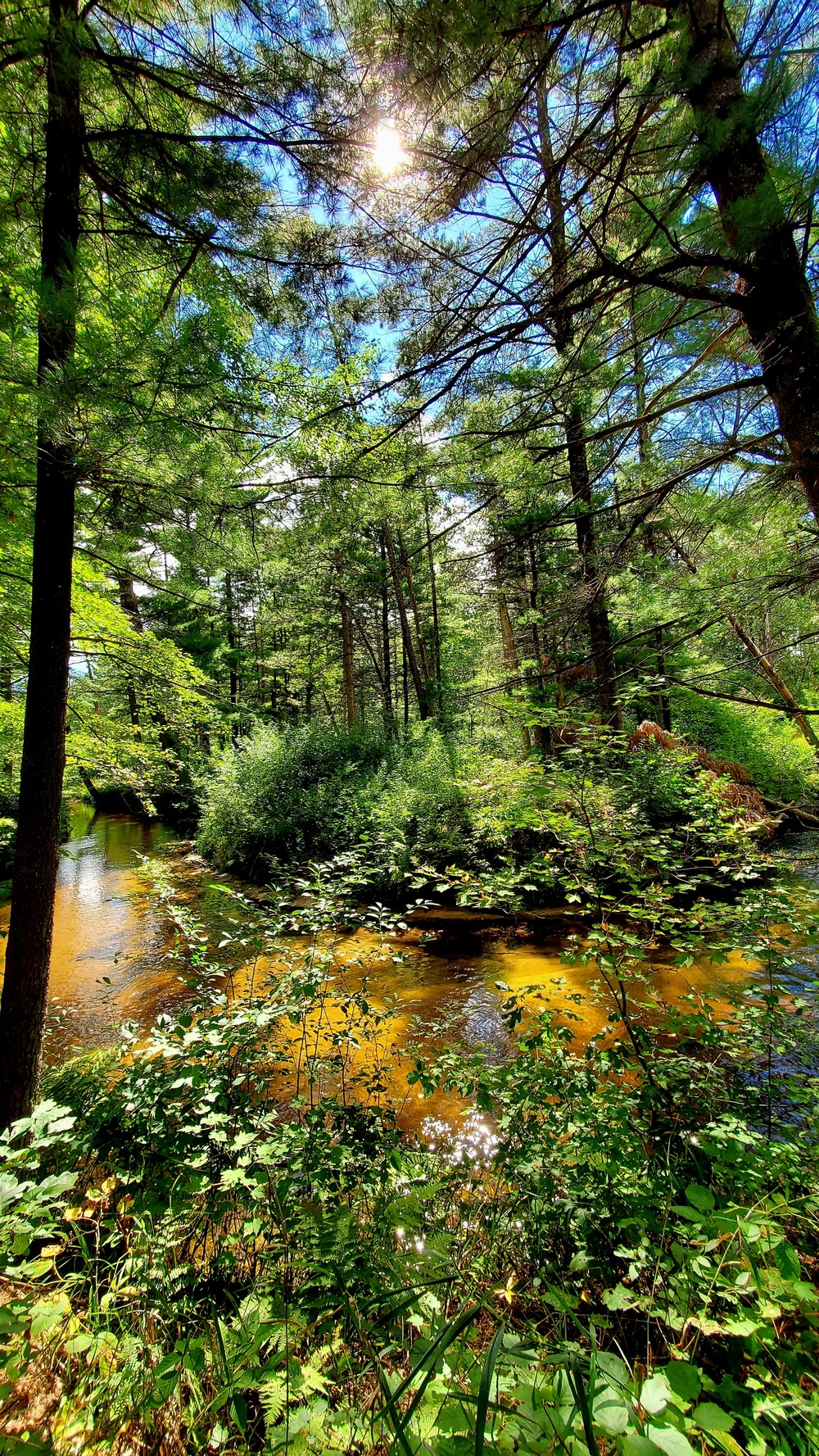 Fort McCoy's Pine View Recreation Area