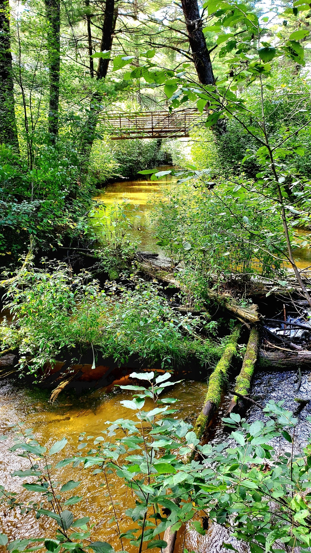 Fort McCoy's Pine View Recreation Area