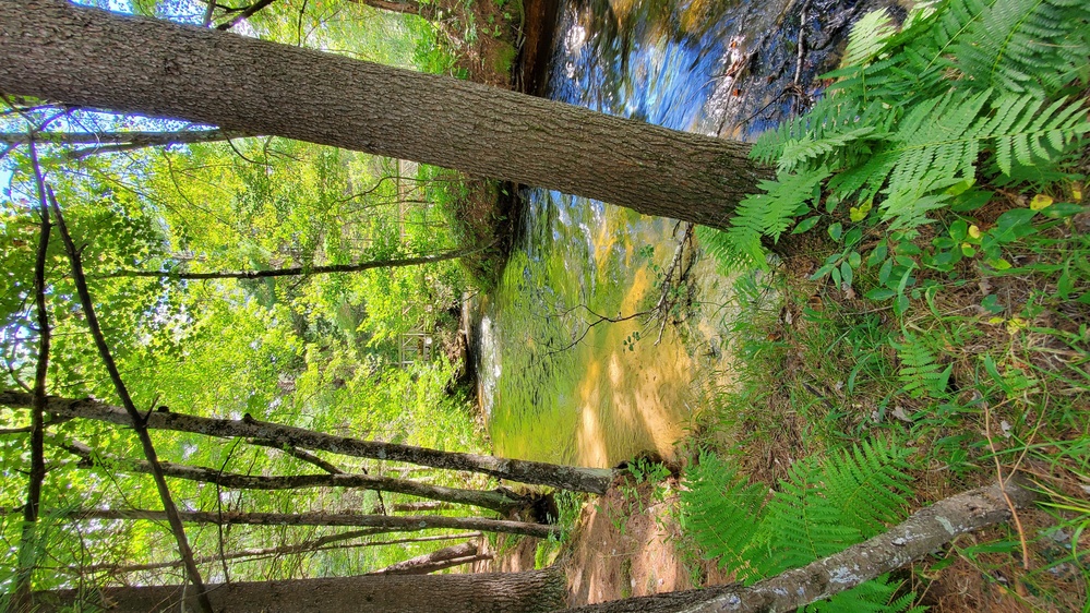 Fort McCoy's Pine View Recreation Area