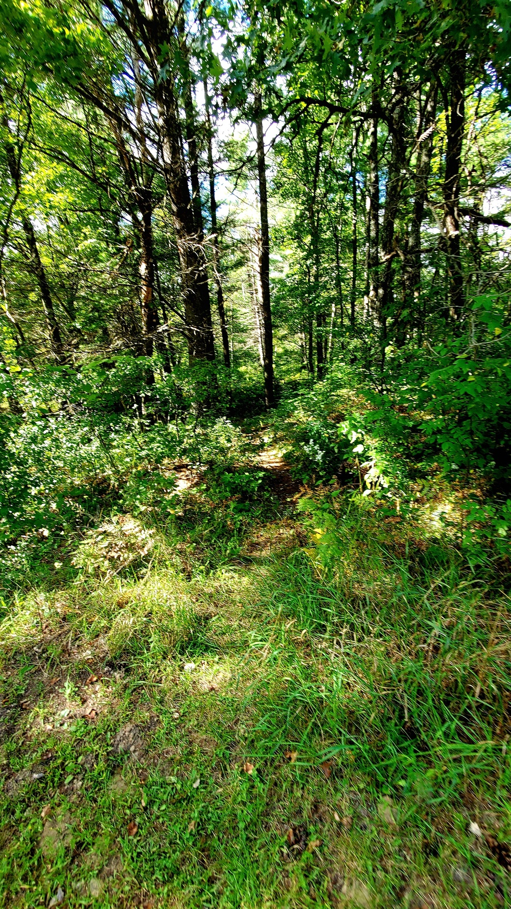 Fort McCoy's Pine View Recreation Area