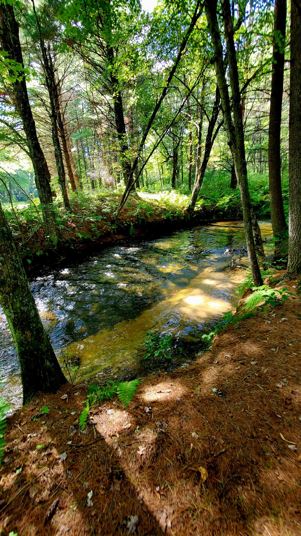 Fort McCoy's Pine View Recreation Area