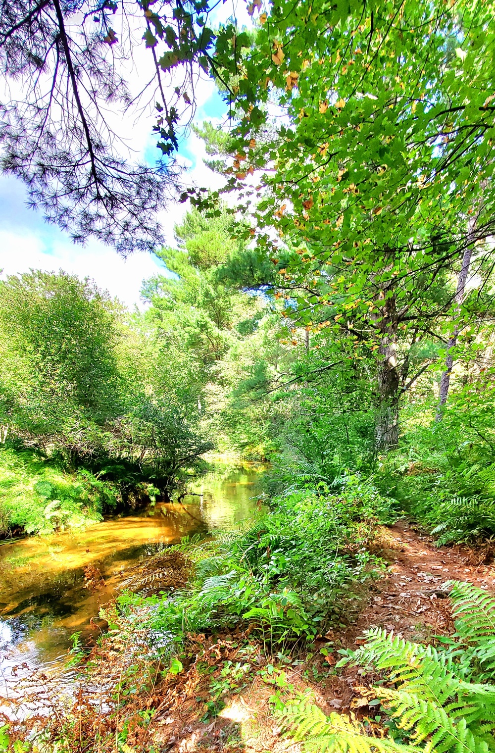 Fort McCoy's Pine View Recreation Area