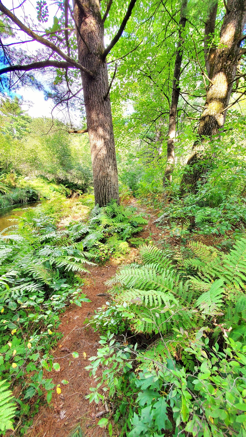 Fort McCoy's Pine View Recreation Area