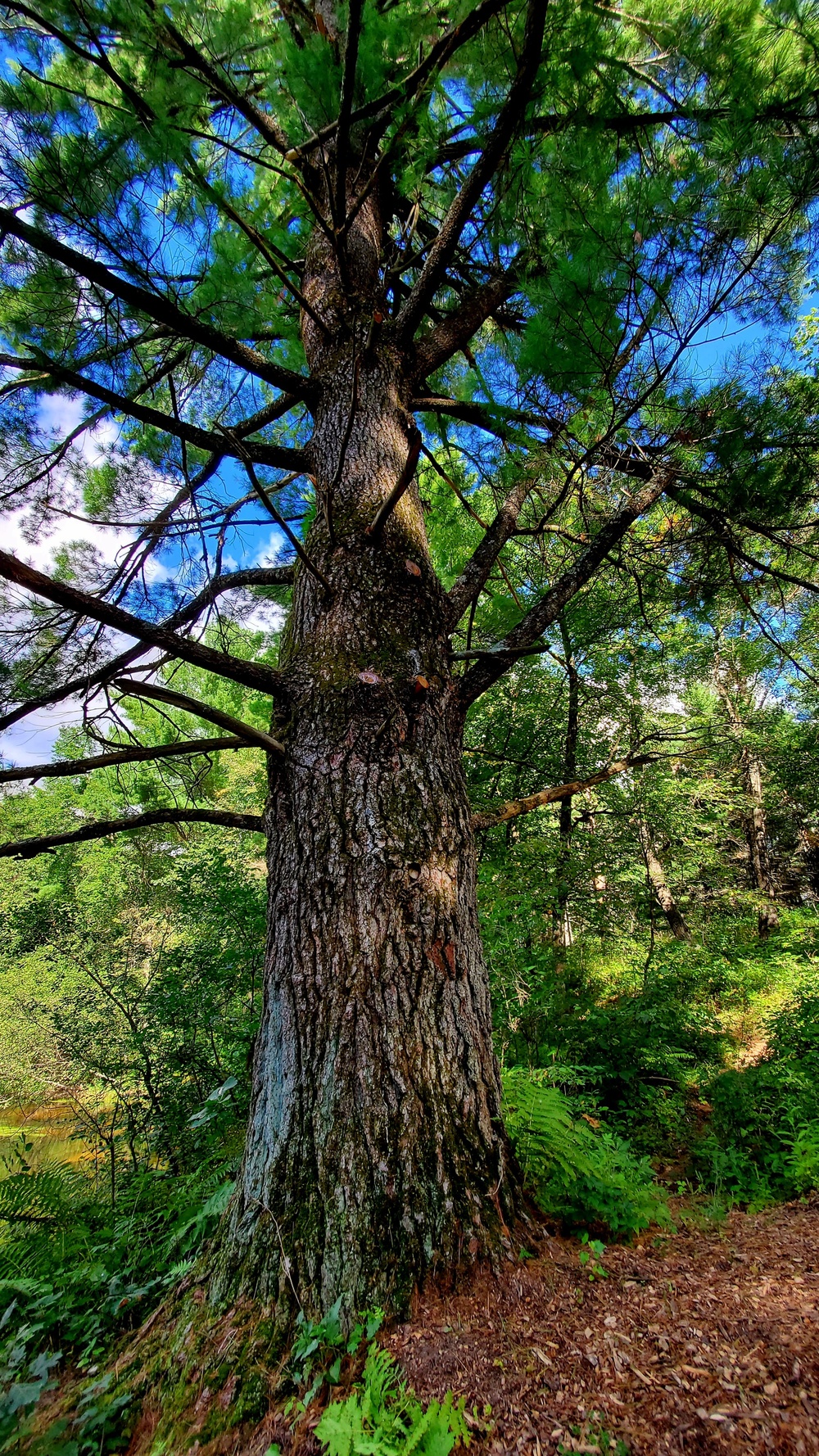 Fort McCoy's Pine View Recreation Area