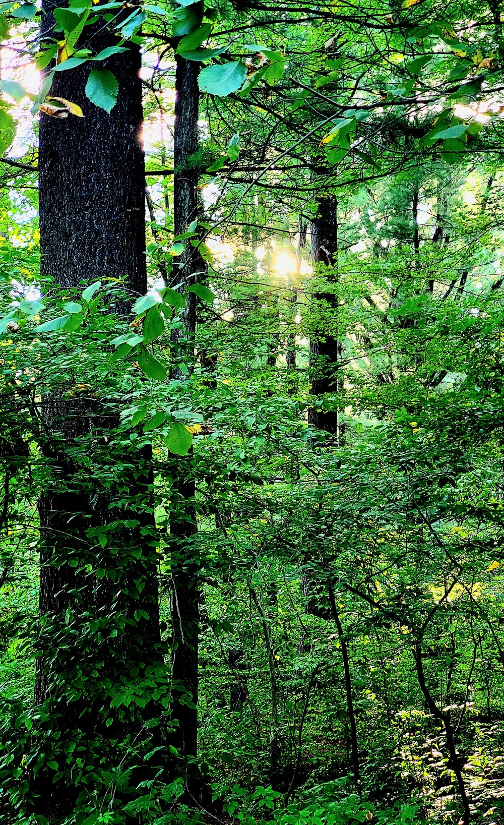 Fort McCoy's Pine View Recreation Area