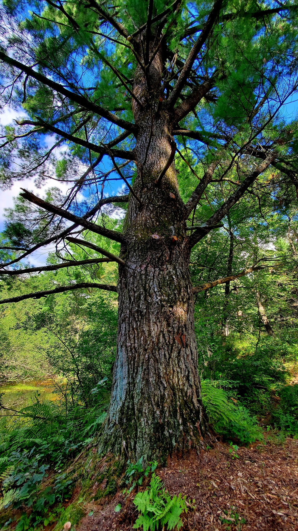 Fort McCoy's Pine View Recreation Area